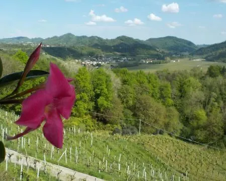 Colle Del Sole Guest house